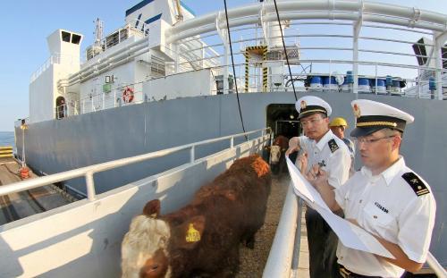 南美白對蝦進(jìn)口報(bào)關(guān)清關(guān)全流程指導(dǎo)與國內(nèi)貿(mào)易代理服務(wù)方案