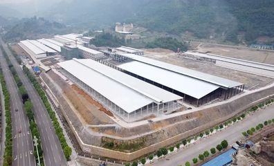 道真小蘑菇 科技賦能食用菌研發，鮮香直達二十余省市民餐桌